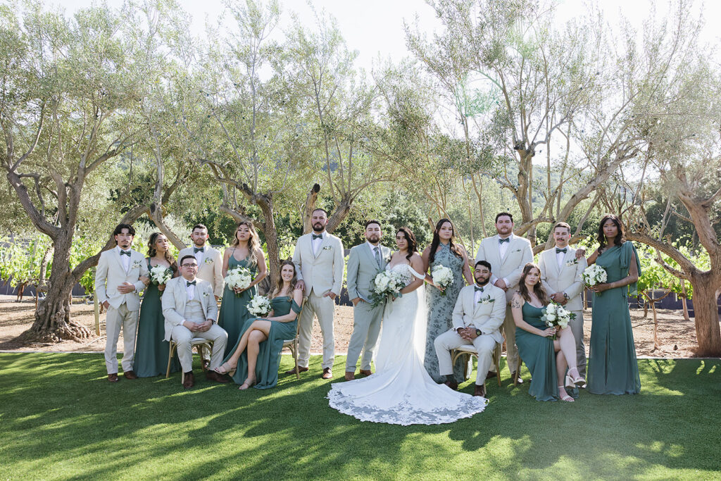 bride and groom with their full wedding party some sitting some standing looking serious in the background are olive tress and vineyards