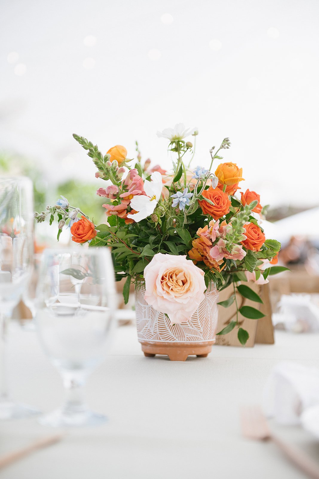 Nella-Terra-Cellers-Dia-Photography-2551.jpg