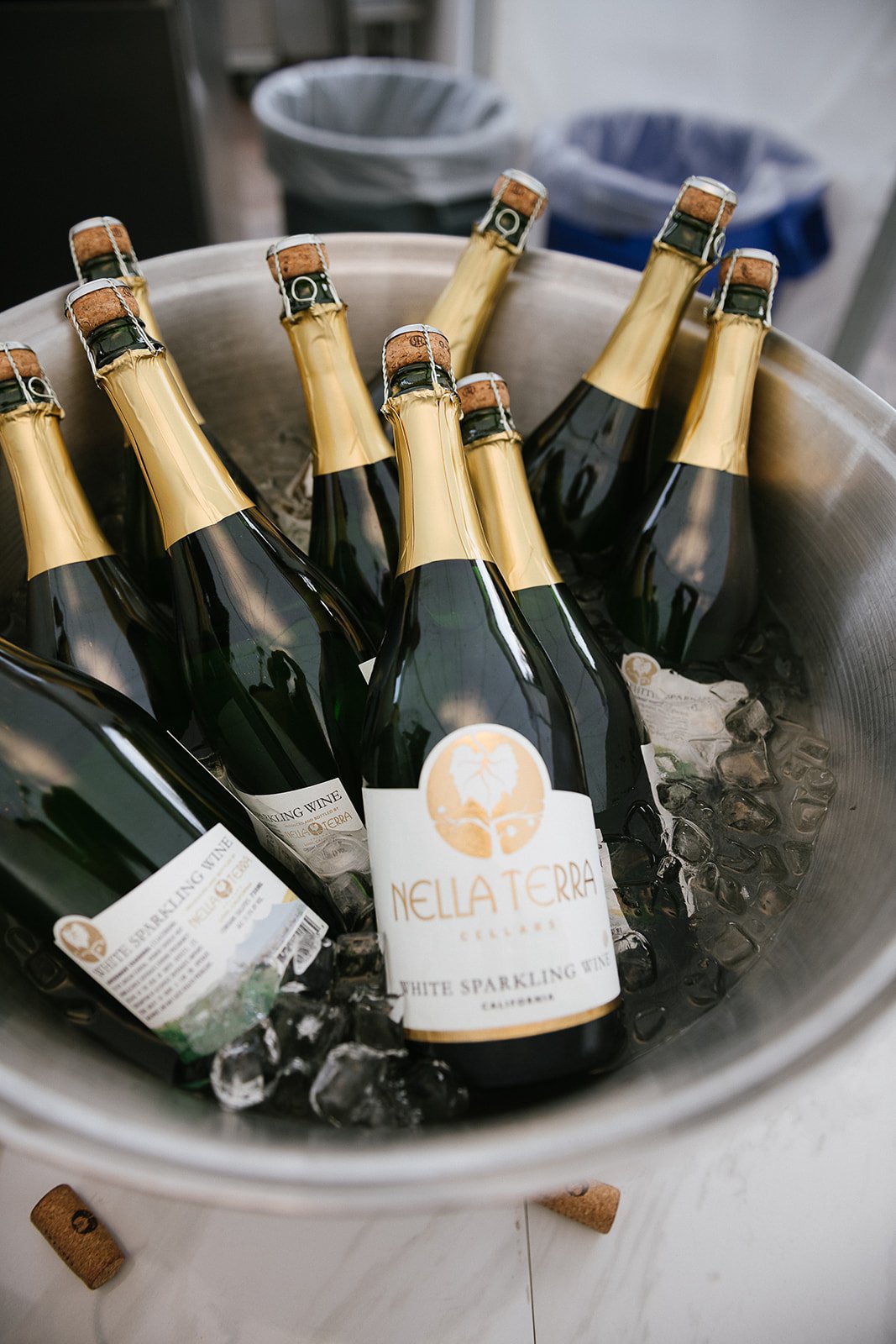 Nella-Terra-Cellers-Dia-Photography-4921.jpg